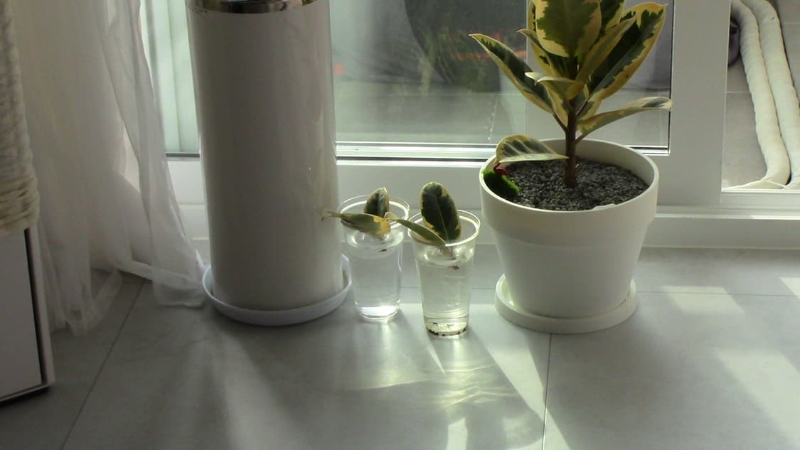 캐논 hf r62 캠코더 화이트 상태 좋음 상품이미지3