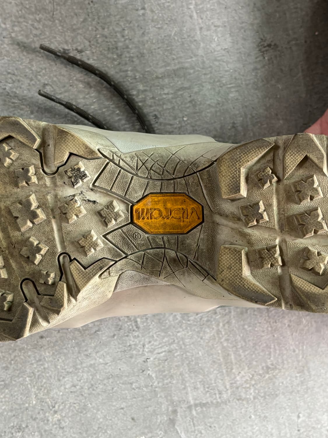 로아 카타리나 상품이미지5