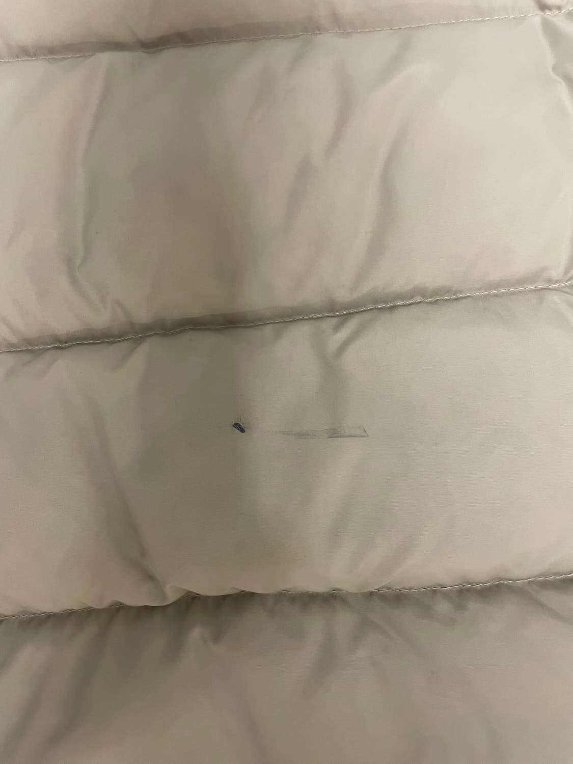 Schott 패딩 (L) 상품이미지5