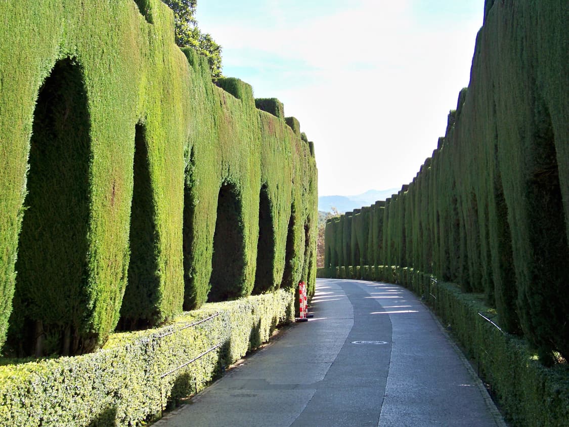 Medion MD86777 (메디온 MD86777) 상품이미지10