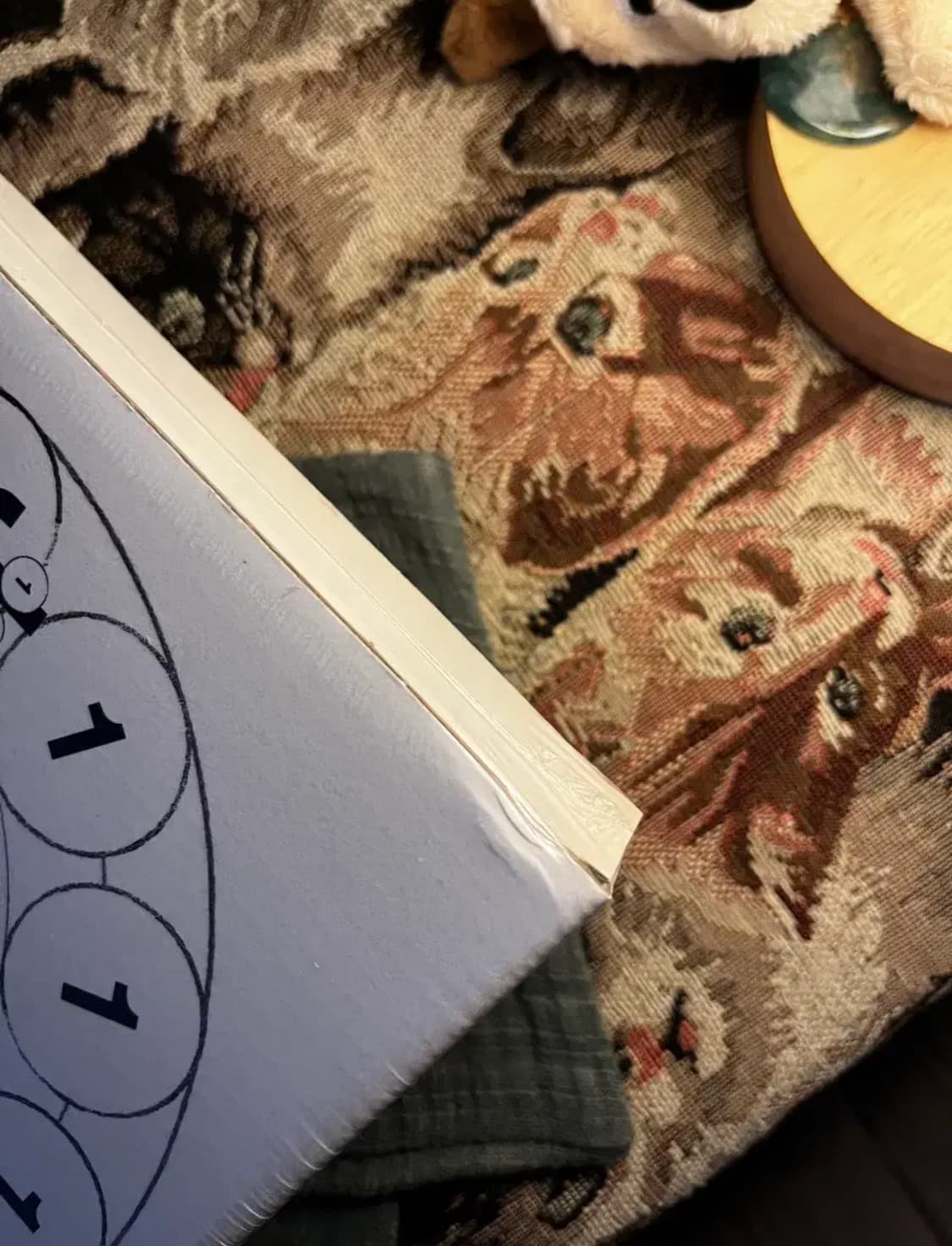 [미개봉] Balming Tiger - January Never Dies 상품이미지2