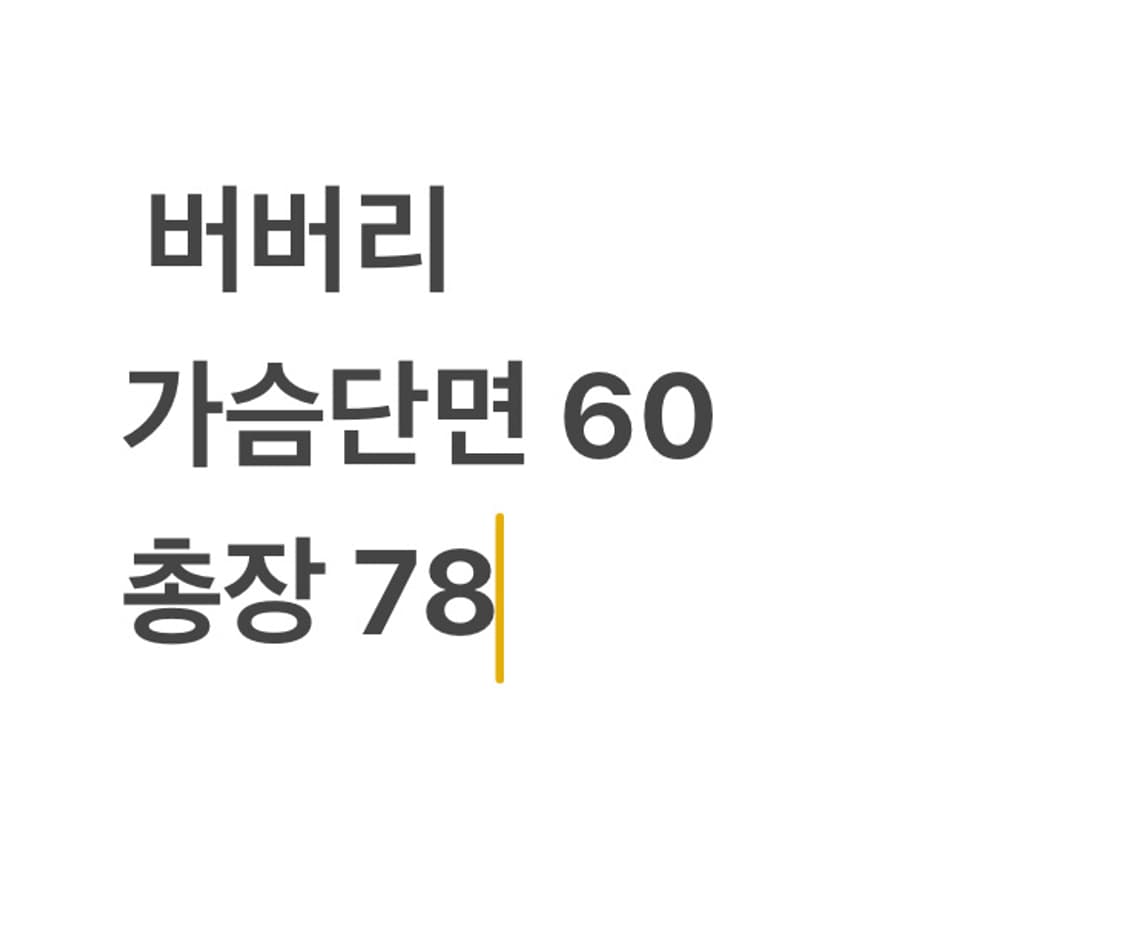 버버리 반팔 셔츠 상품이미지4