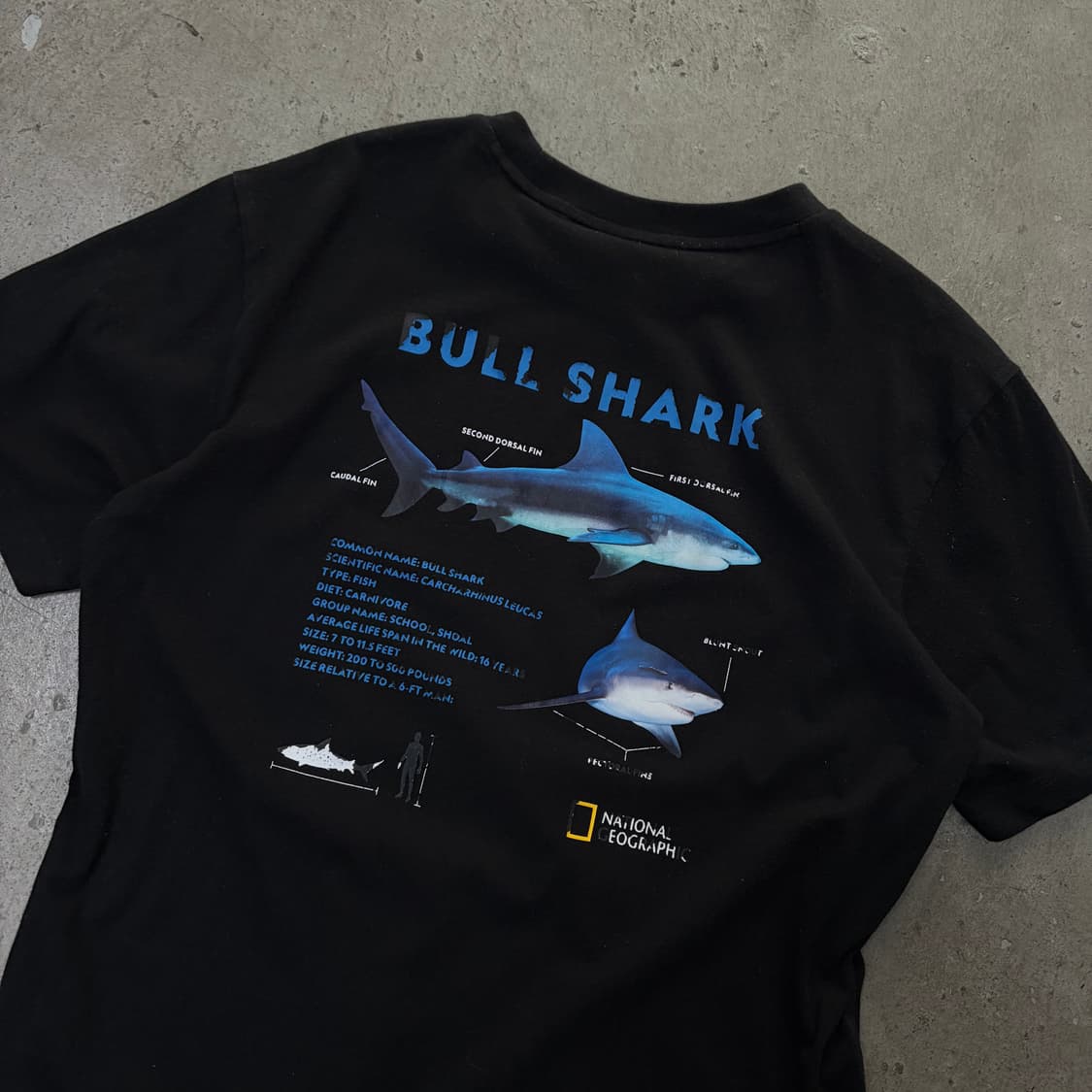 내셔널지오그래픽 반팔티[1947] 상품이미지2