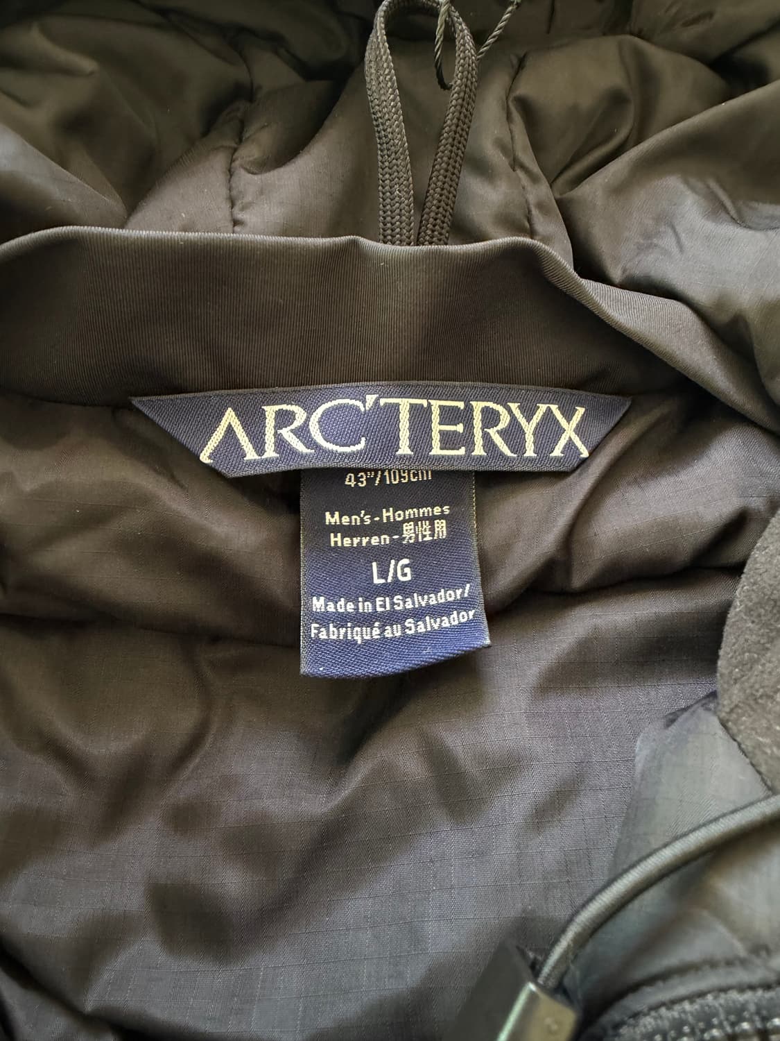 [L] 아크테릭스 리프 콜드 후디  상품이미지5