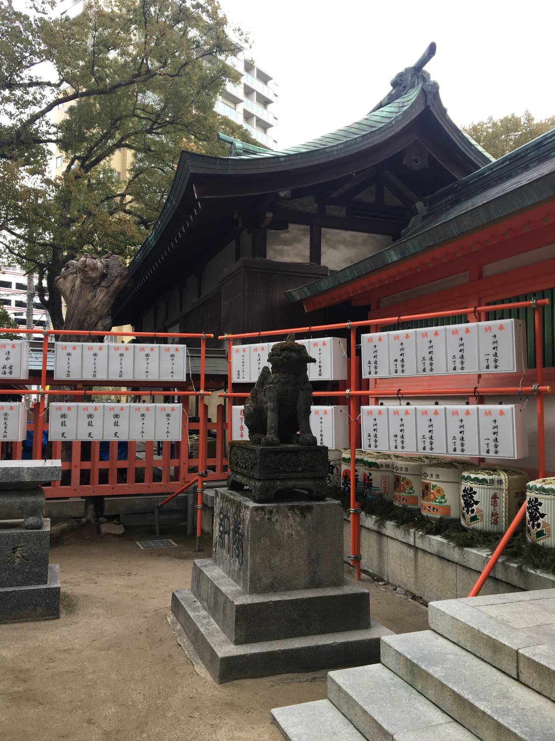 Kodak easyshare v603 상품이미지6