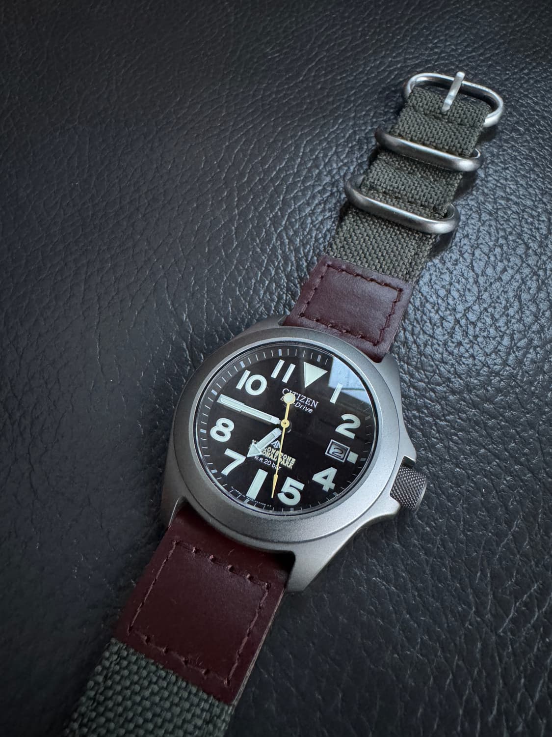 시티즌 프로마스터 터프 옐로스톤 국립공원 한정판 팝니다. 상품이미지2