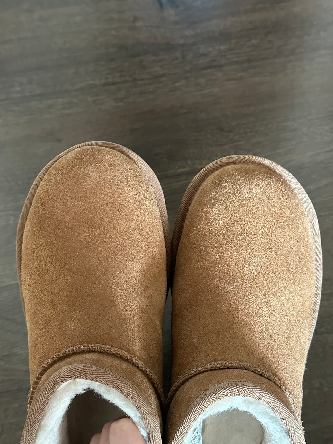 <정품> UGG 미국 어그 울트라 미니 플랫폼 체스트넛 230 US6W  상품이미지4