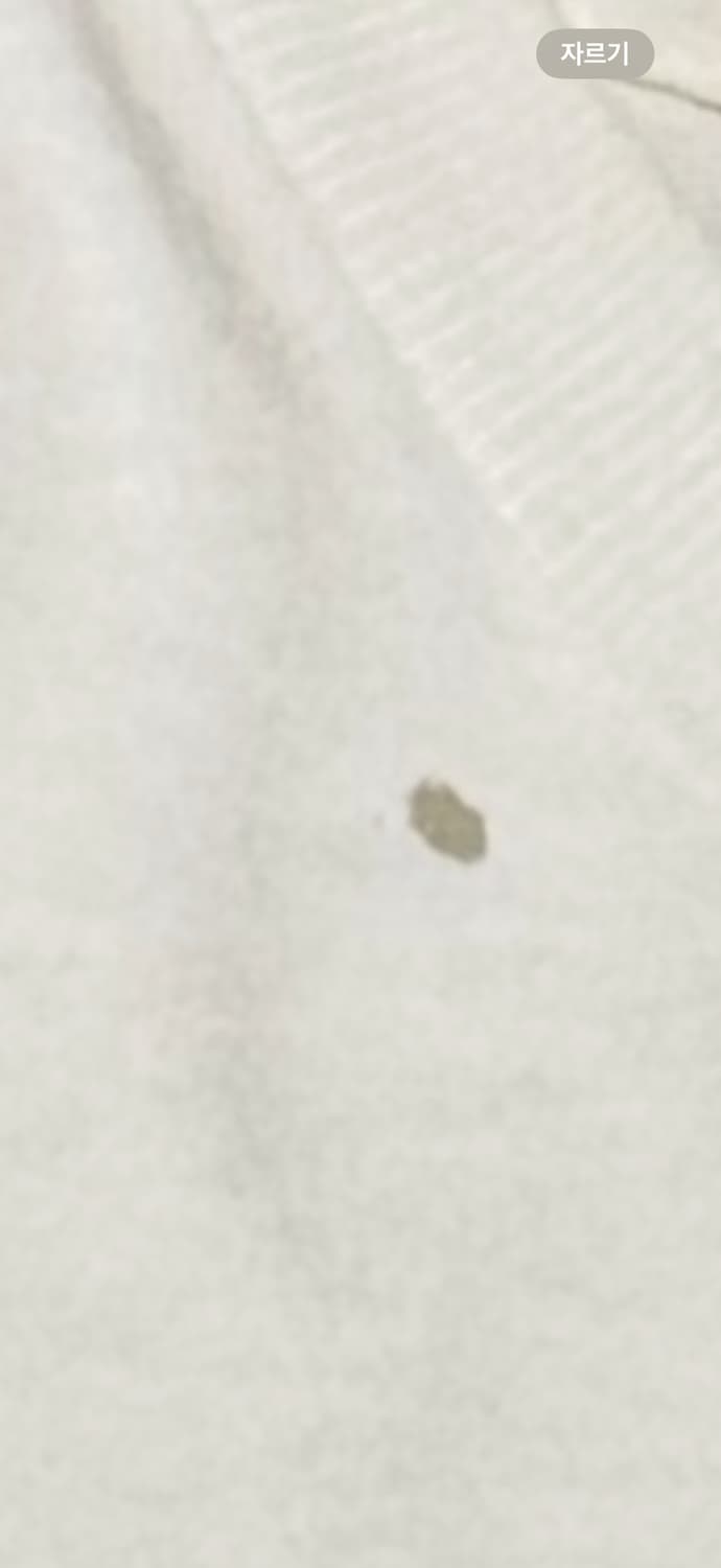 Balansa 발란사 반팔 상품이미지3