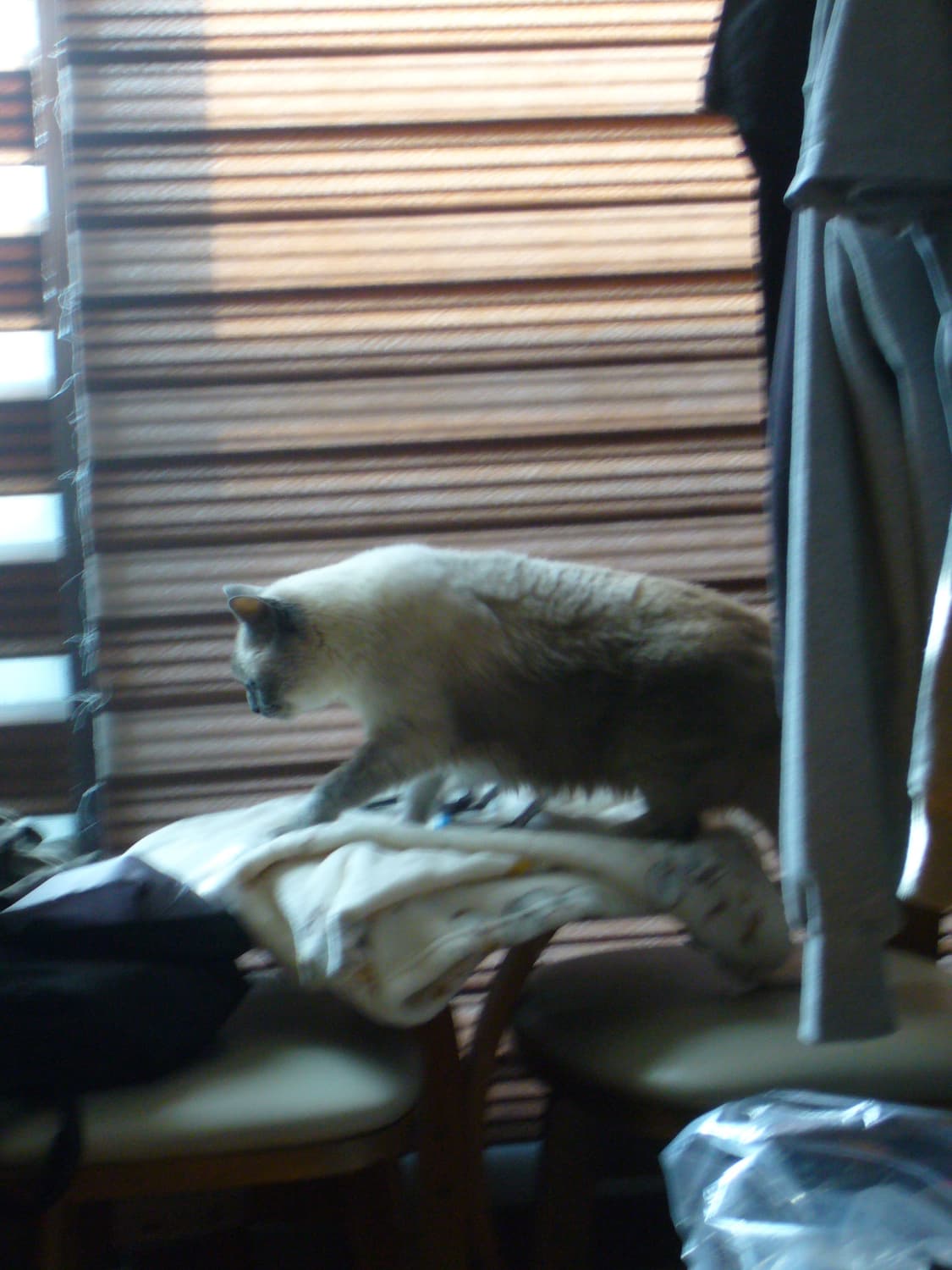 파나소닉 루믹스 DMC-FX9 디지털 카메라 작례O 상품이미지6