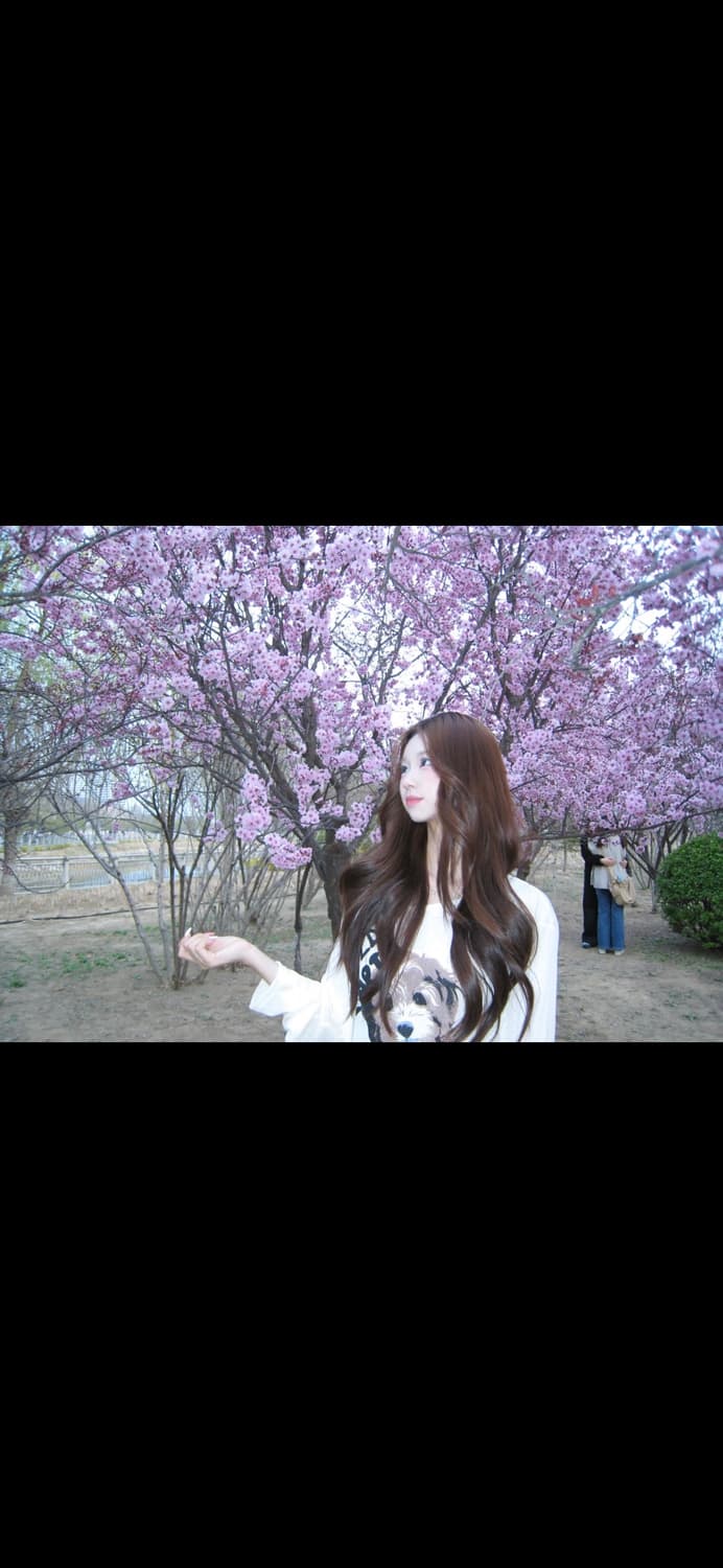 A급)캐논 익시 900 (캐논 익서스 850 IXUS 850)빈티지 디카 상품이미지3