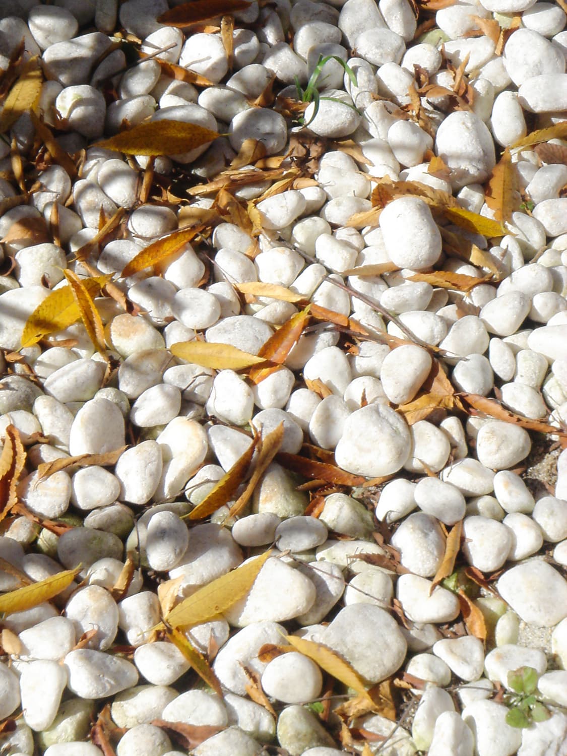 빈티지 소니 디카 dsc-t1 실버 카메라 상품이미지6