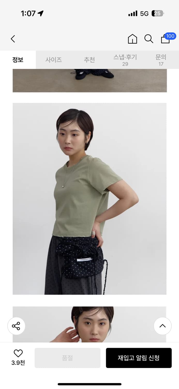 패러킷 멀티 도트 상품이미지2