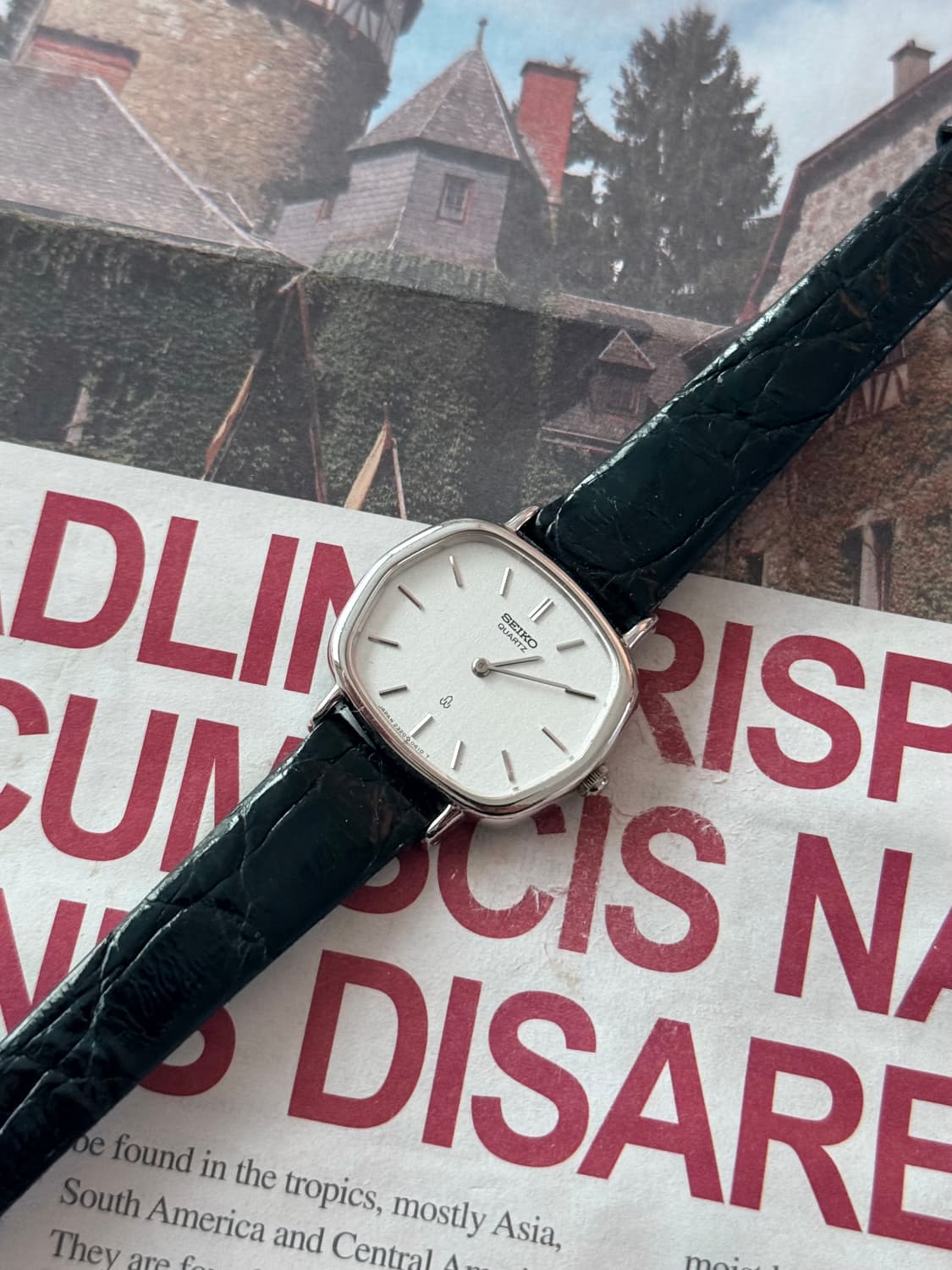 세이코 Seiko 샤리오 쿼츠 레이디스 상품이미지1