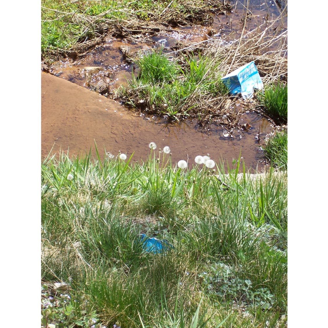 Kodak 코닥 easyshare 이지쉐어 CX7330 디지털 카메라 상품이미지2