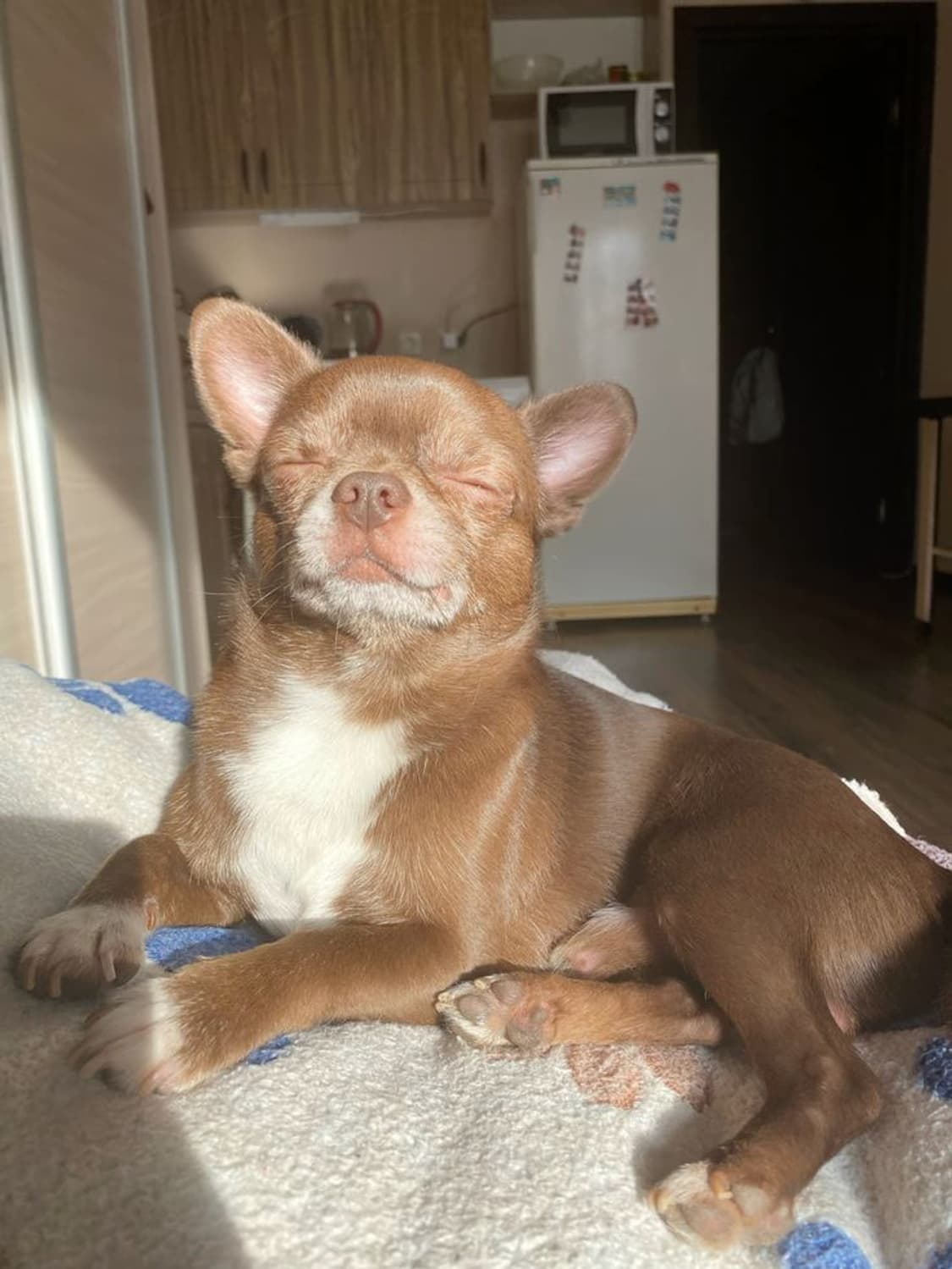 5, 모두 40변경 상품이미지1