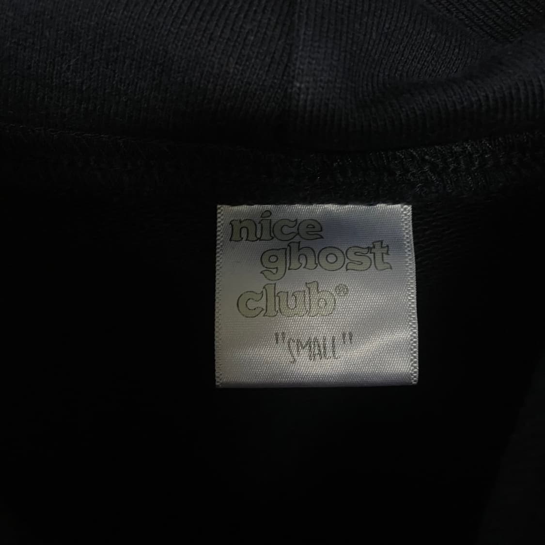 챔피온 빅로고 리버스위브 후드집업 블랙 상품이미지4