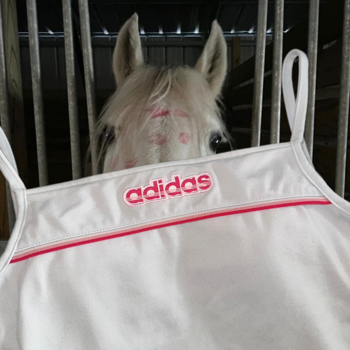 Adidas pinky top 상품이미지3