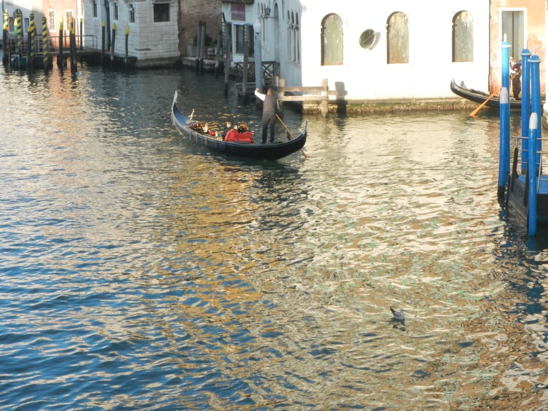 *희귀* Nikon coolpix aw100 디카/한글지원 상품이미지8