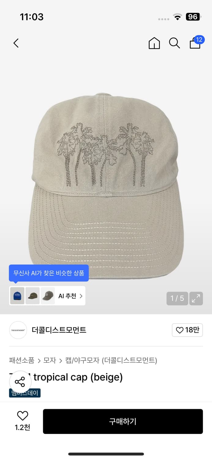 더콜디스트모먼트 모자 cap thecoldestmoment 상품이미지1