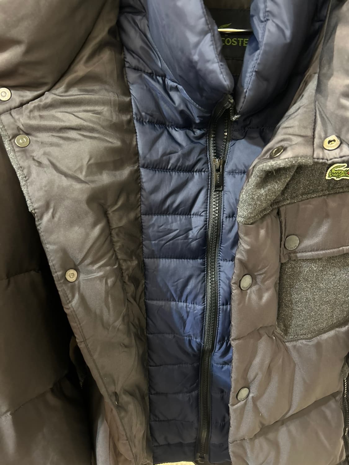 라코스테 구스 패딩 상품이미지3