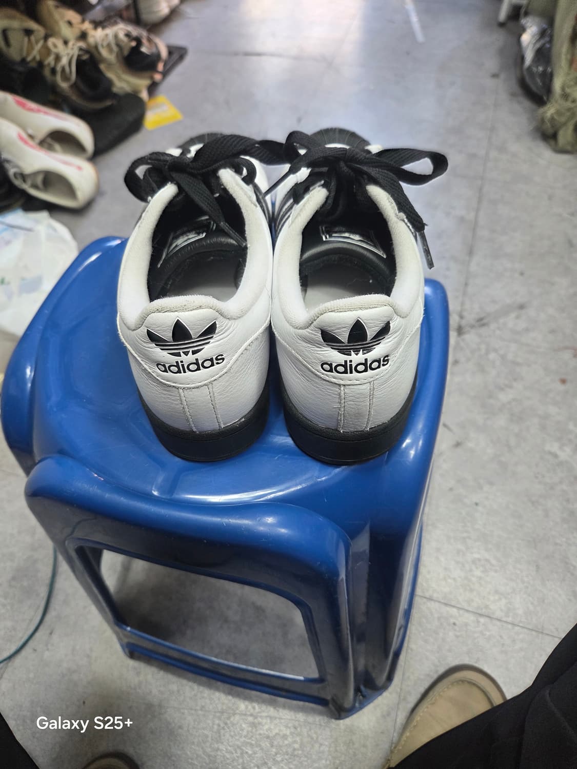 아디다스 슈퍼스타   255 상품이미지3