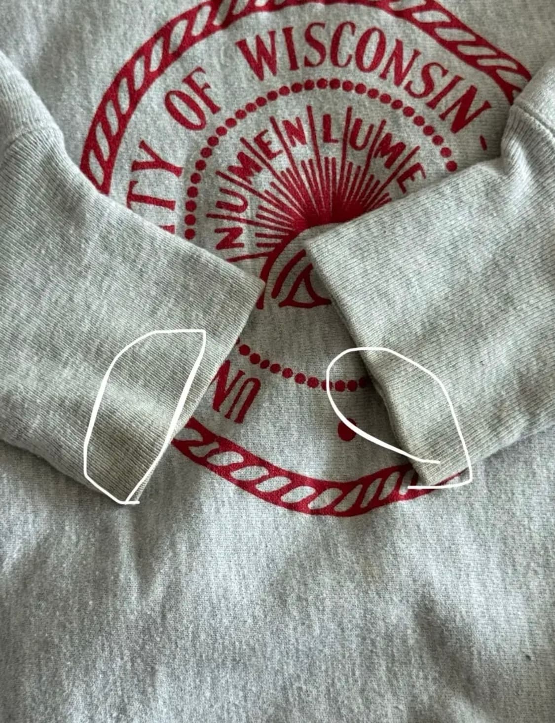 Champion Reverse weave 상품이미지4