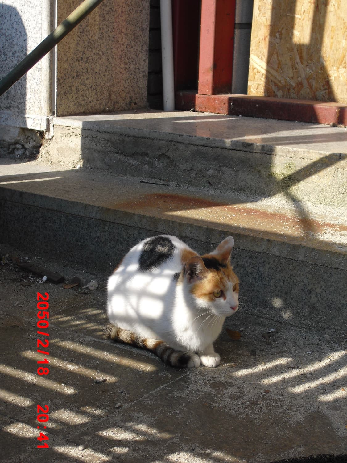 (풀박스) 카시오 exilim ex-z2 디지털카메라 빈티지디카 상품이미지10