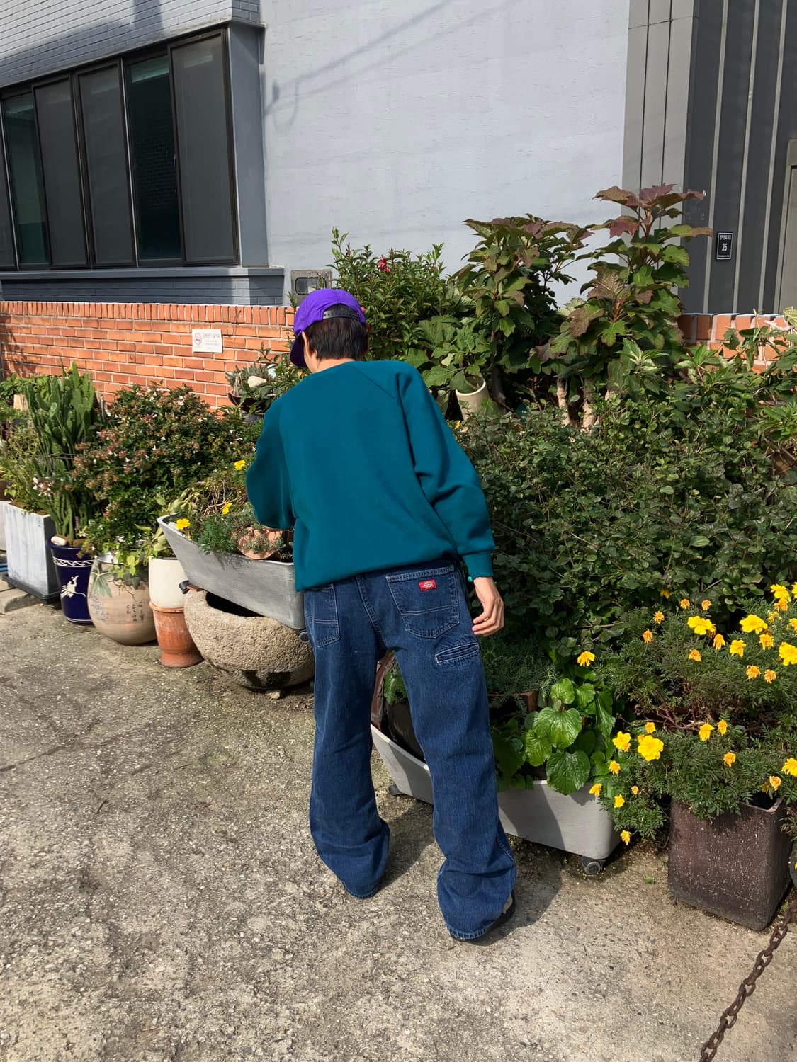 DICKIES regular fit 상품이미지5