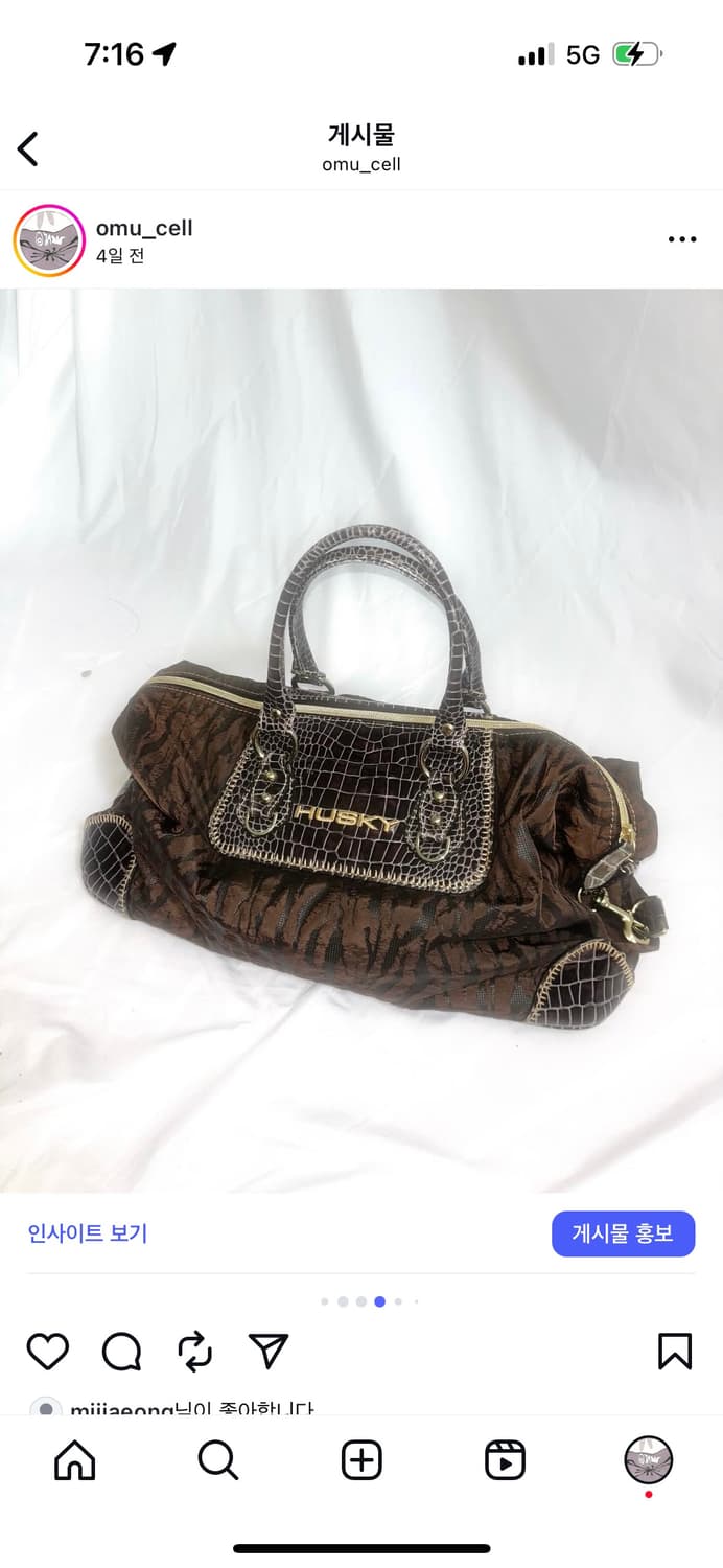 y2k HUSKY BAG 상품이미지4