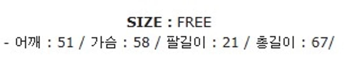 2002 한일월드컵 머천 굿즈 반팔티 상품이미지2