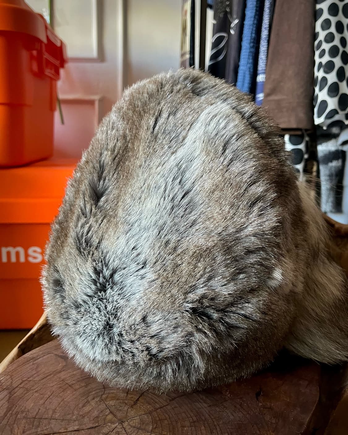 CA4LA Archive Real Fox Fur Sharp-Car Hat 상품이미지6