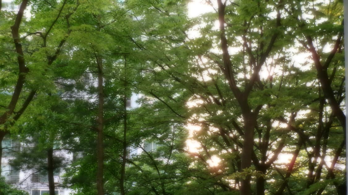 작례) 코닥 fz55  상품이미지4