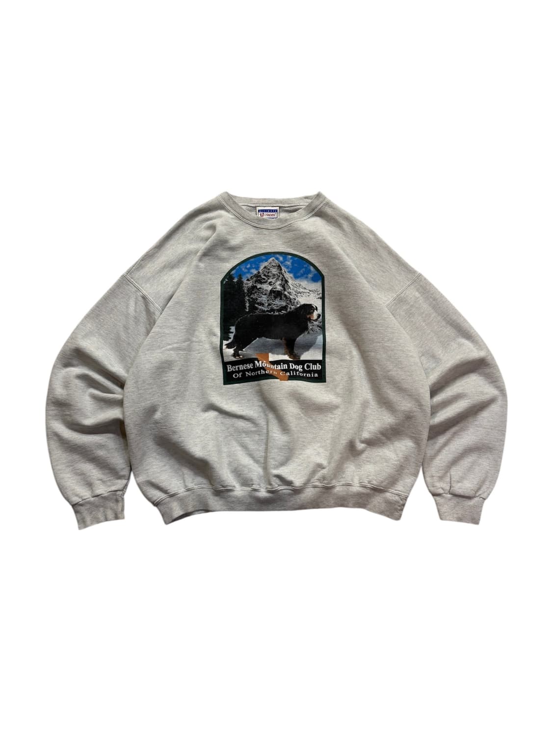 헤인즈 헤비코튼 세인트버나드 스웻셔츠 상품이미지1