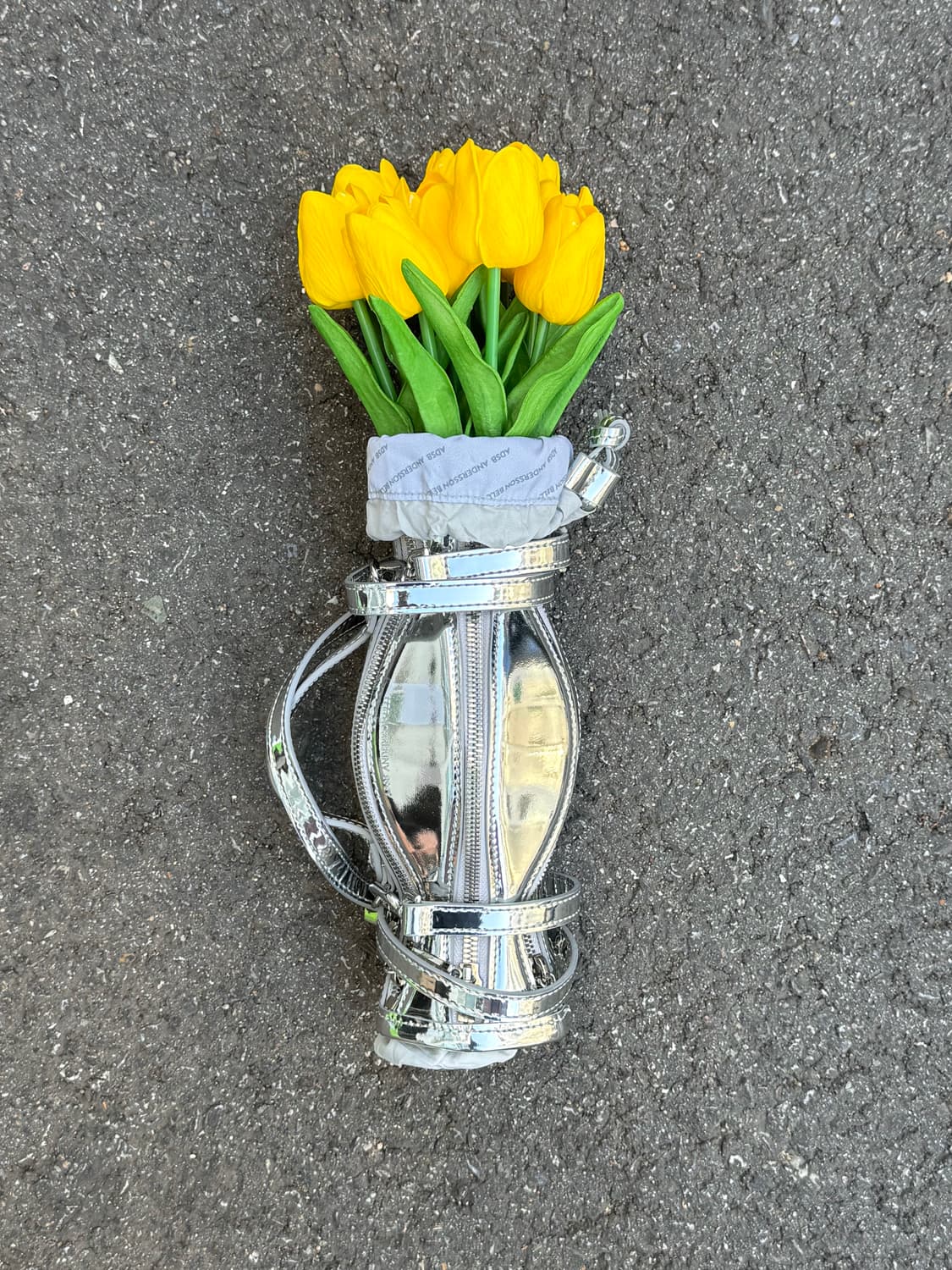 앤더슨벨 바소 백 (silver) 상품이미지1