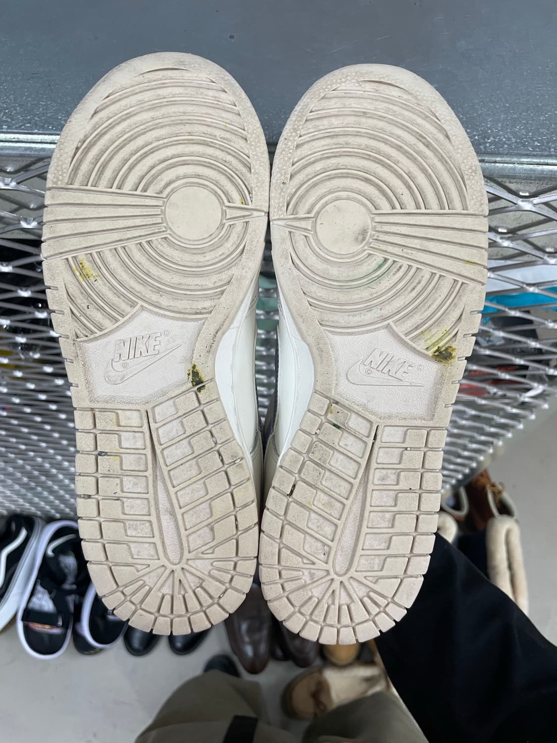 나이키 덩크 로우 옥시전 퍼플 250 (gr-4452) 상품이미지6