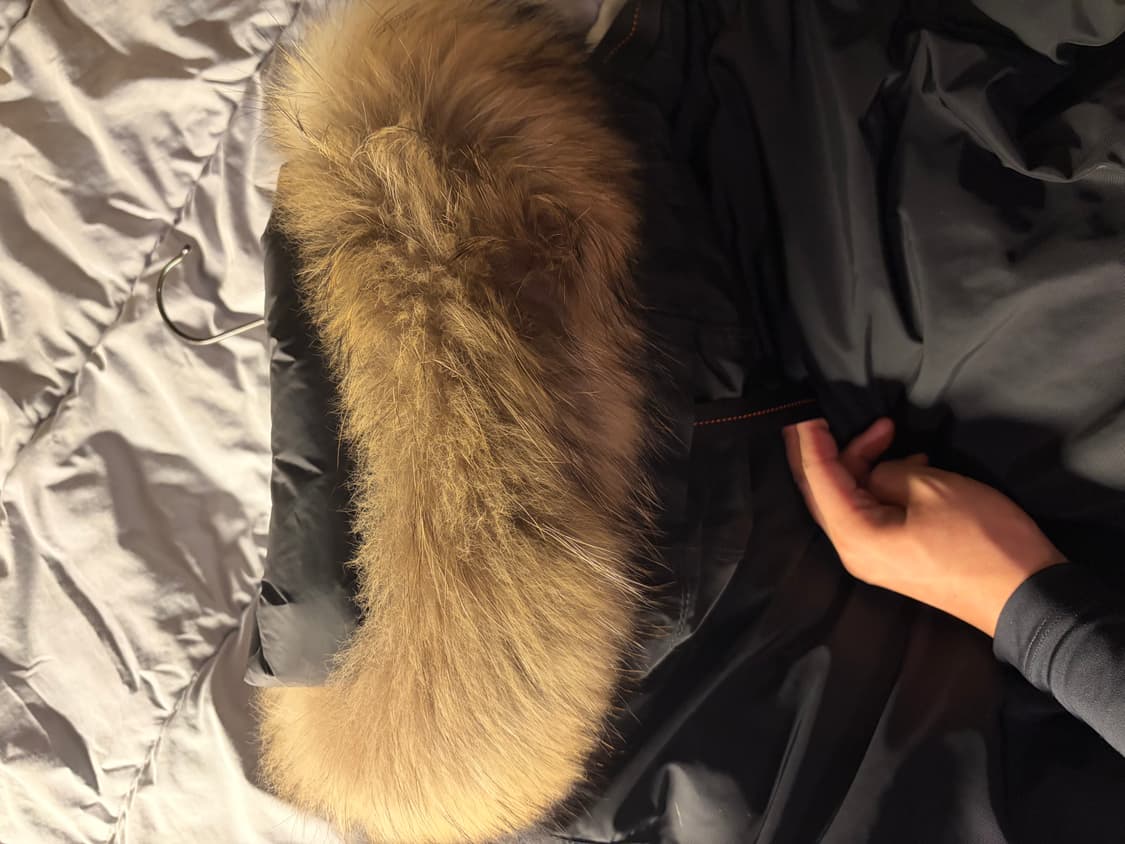 (W/M) 파라점퍼스 고비 마스터피스 (21fw) 한국어 택 상품이미지8