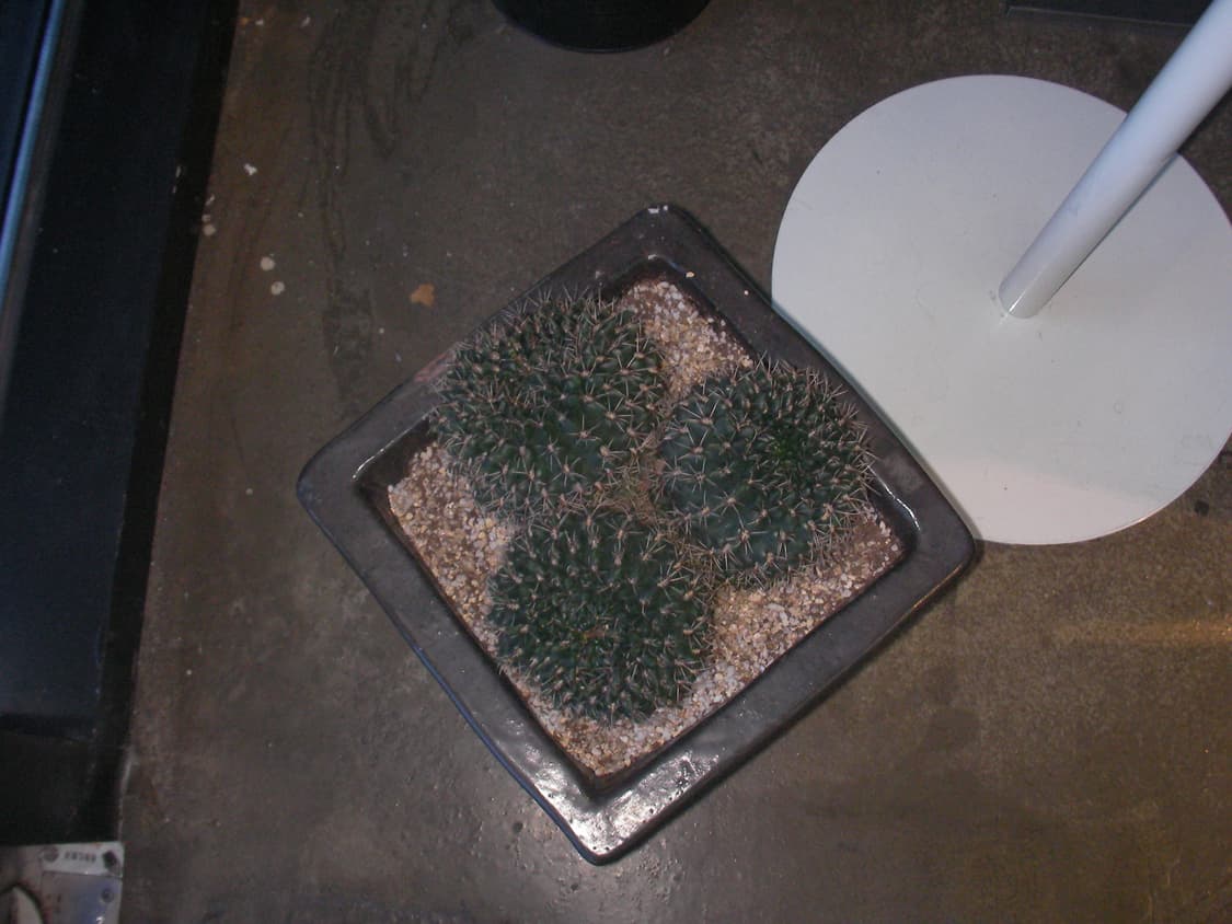 레어/민트급/딸기우유)산요 작티 DMX-CG6 핑크 빈티지디카 캠코더 상품이미지10