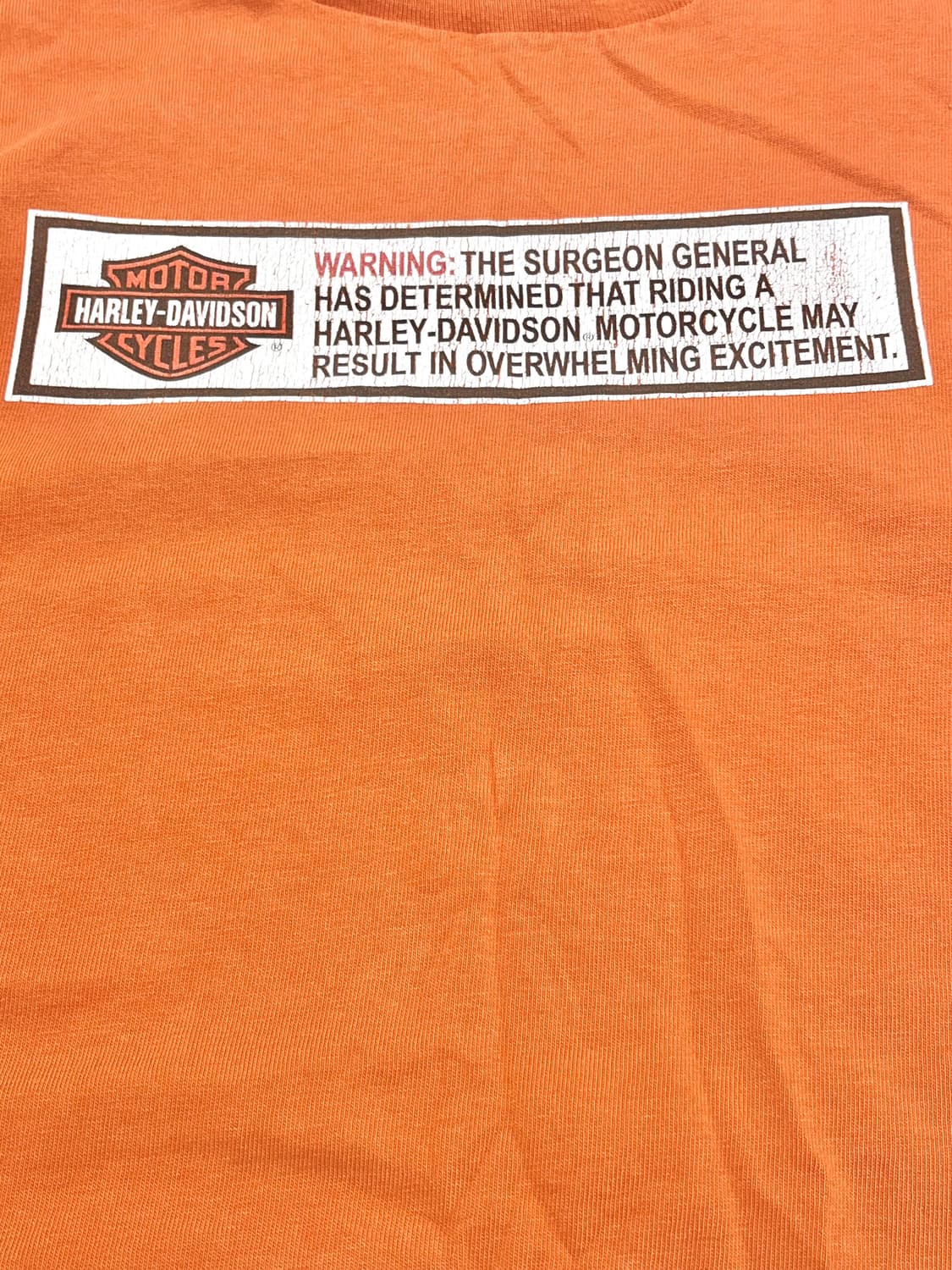 00s Holoubek Harley Davidson 상품이미지2