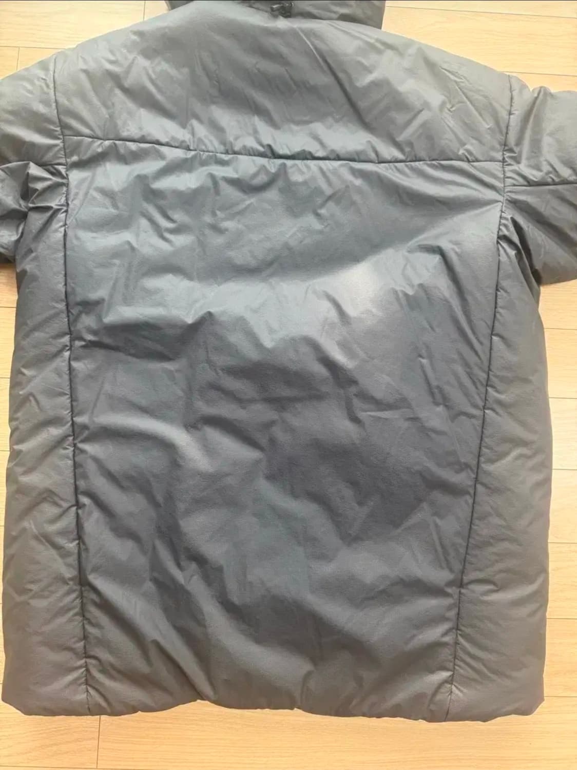 아크테릭스 누클리아이 SV 그래파이트 상품이미지2