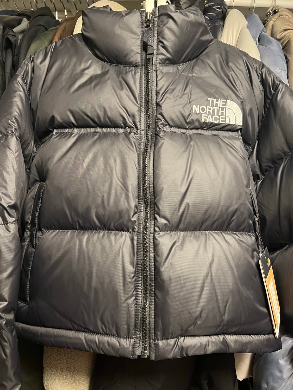 노스페이스 우먼 눕시 숏(미주판) 상품이미지3