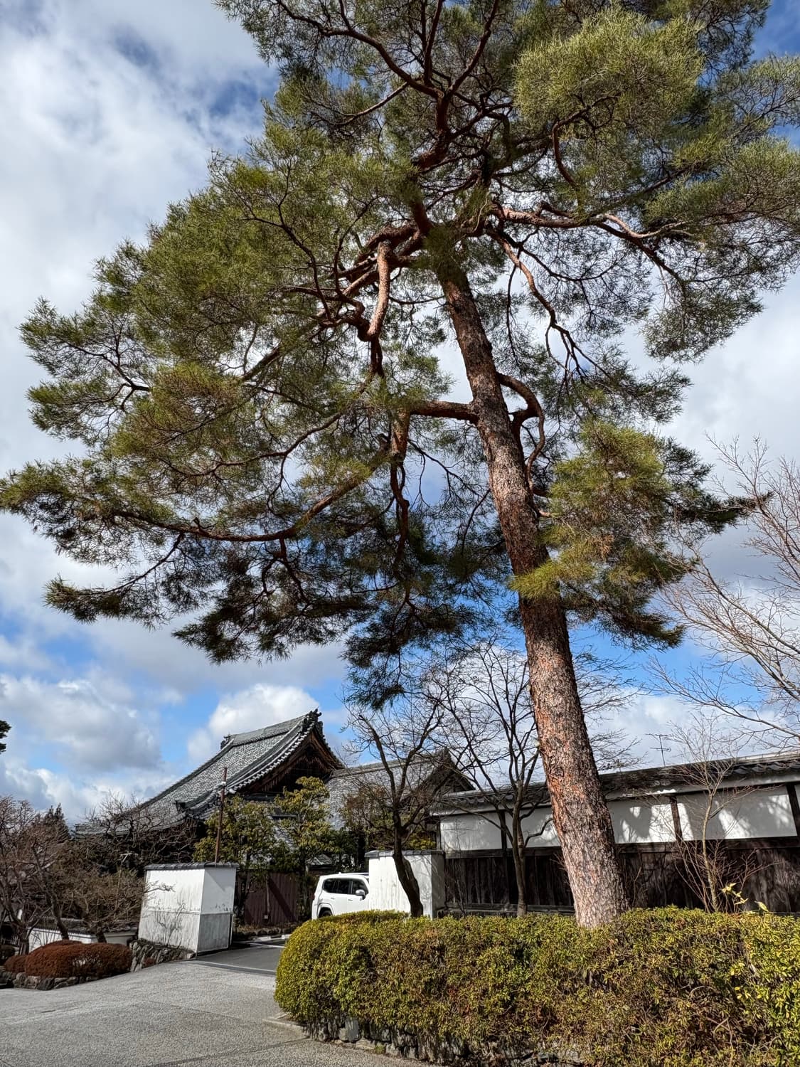렉토 빈티지 워시드 헤링턴 s사이즈 구매합니다 상품이미지1