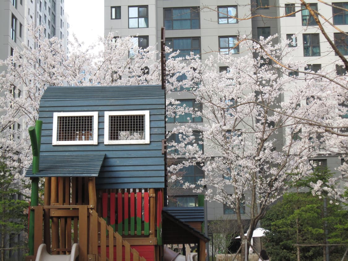 풀박스 Canon ixy10s 라벤더핑크 빈티지디카 캐논 익시 익서스 상품이미지9