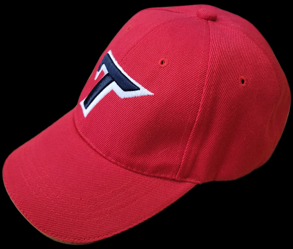 네포스(NEPOS) 기아타이거즈 야구모자(볼캡) 판매(N) 상품이미지2