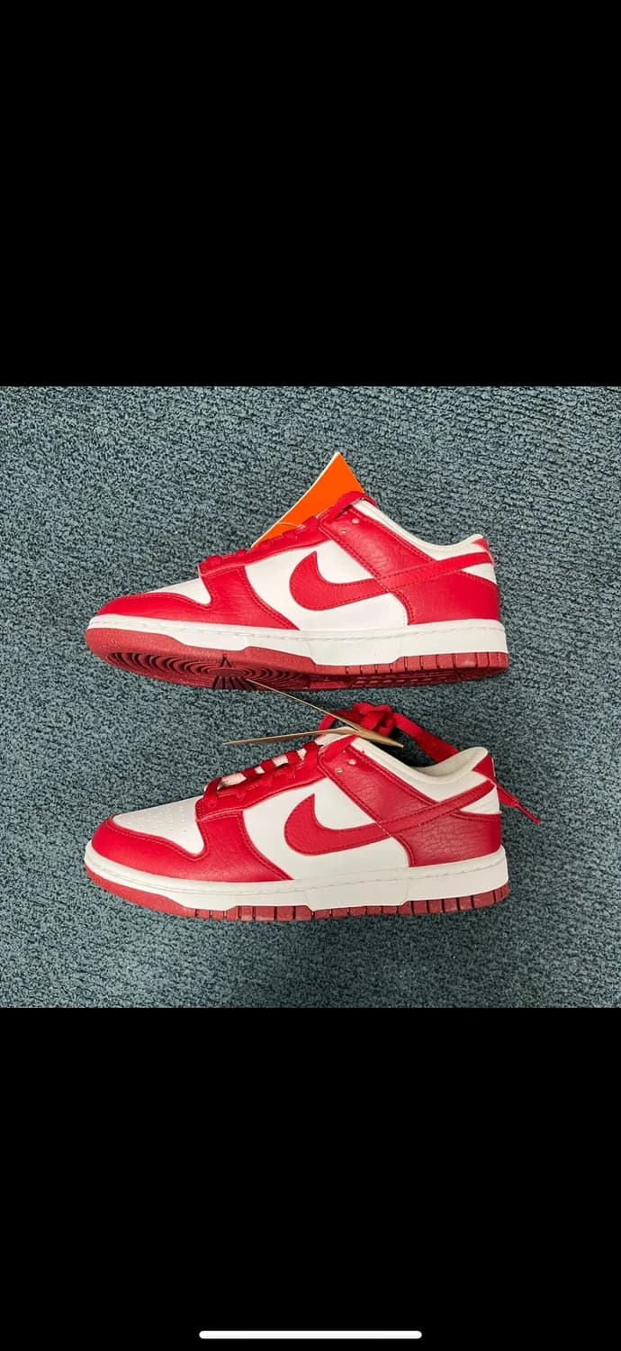 나이키 덩크로우 짐레드 상품이미지2