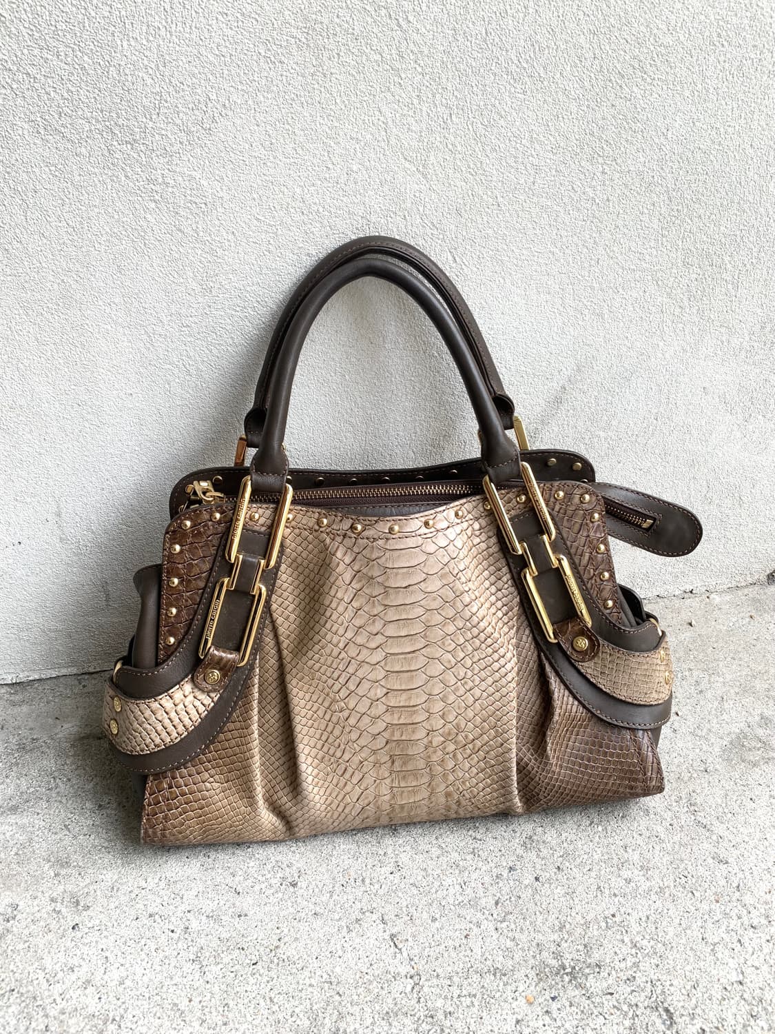 Python 00s mood hand bag 상품이미지1