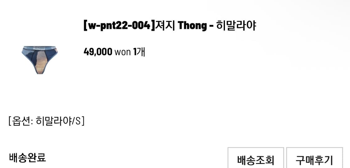 배드블러드 히말라야 팬티 수영복 상품이미지3