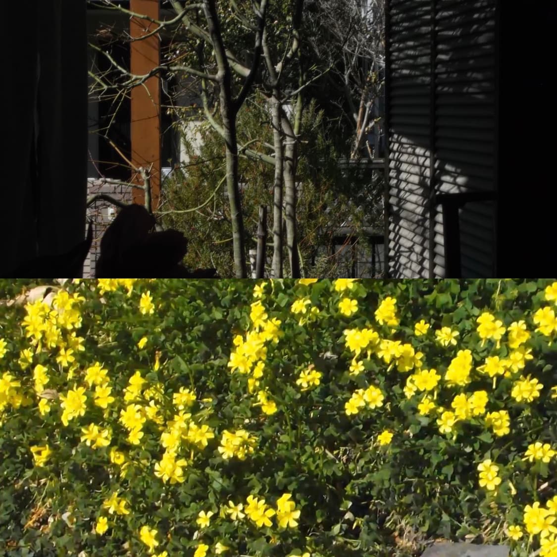 Fujifilm JX490 디카 상품이미지7