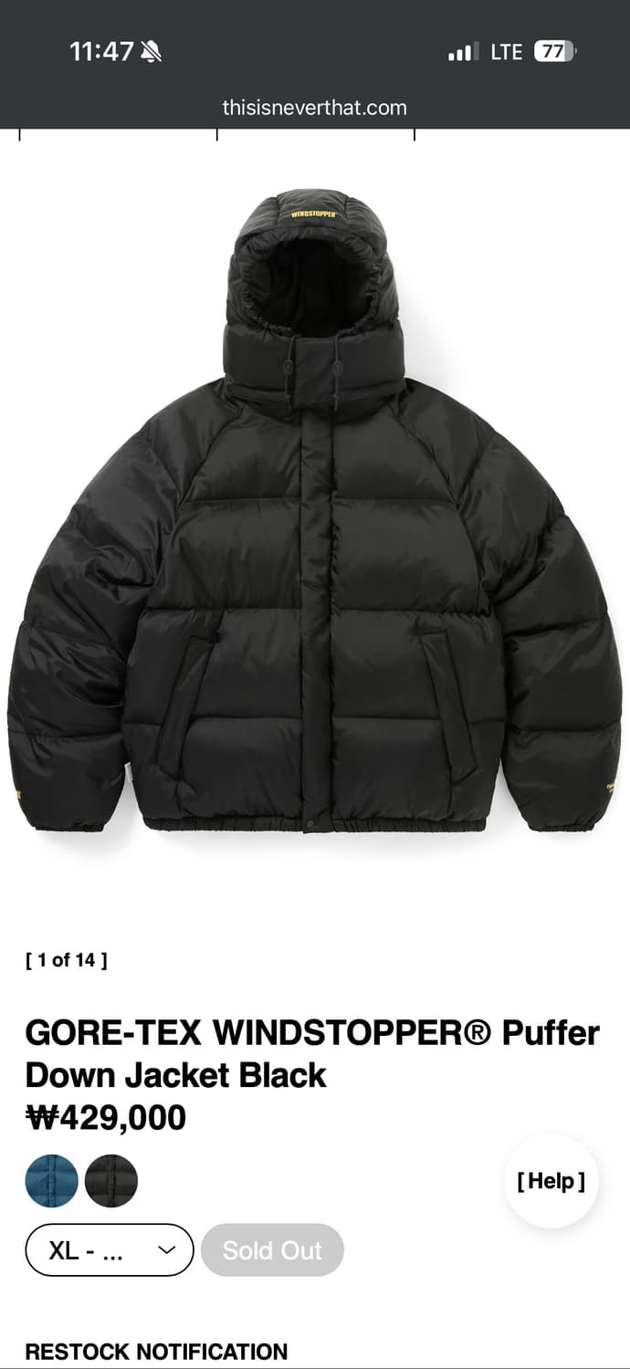 [XL]디스이즈네버댓 고어텍스 패딩 상품이미지1