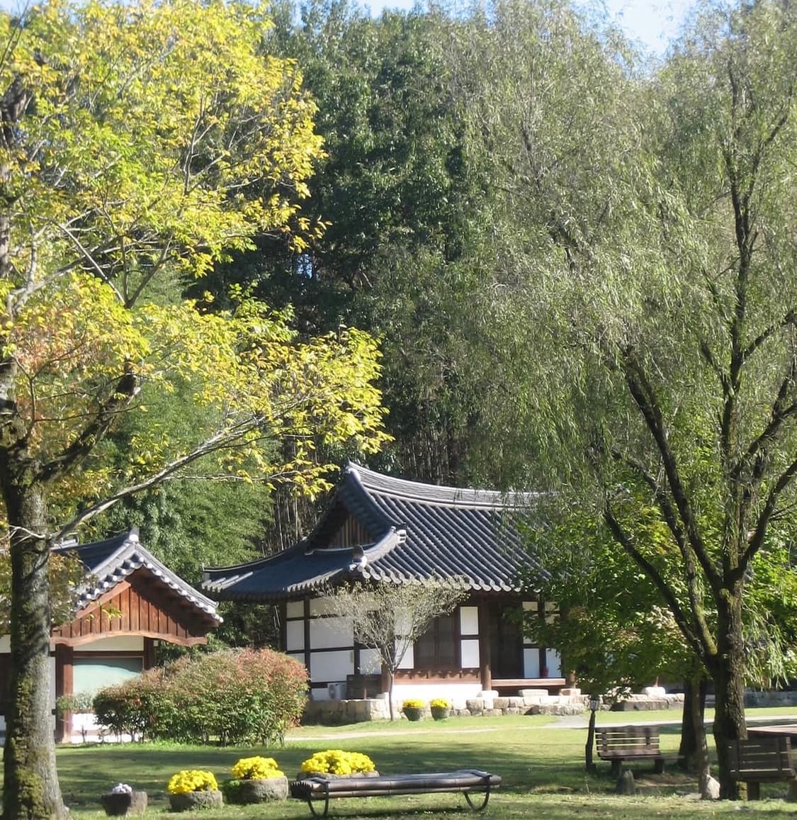 ⭐️아이유디카⭐️Canon ixy55 (IXUS 50) 작례O 상품이미지5