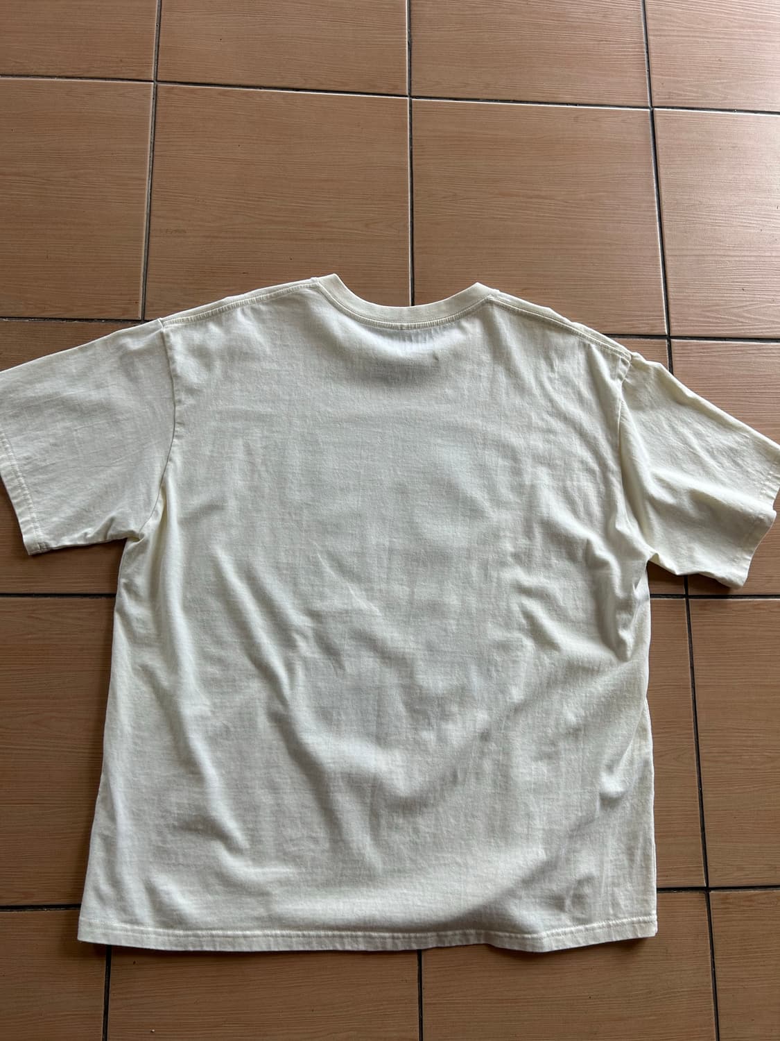 Green day 2025tour MD Tee 상품이미지4